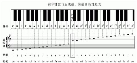 鋼琴位置|【鋼琴教學】給學鋼琴的新手們的入門基礎知識整理